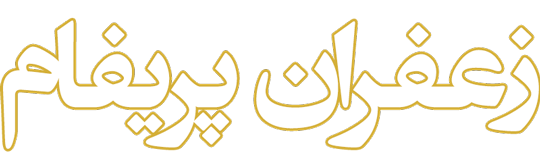 لوگو